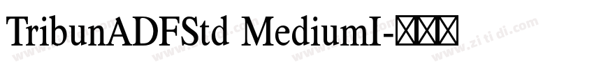 TribunADFStd MediumI字体转换